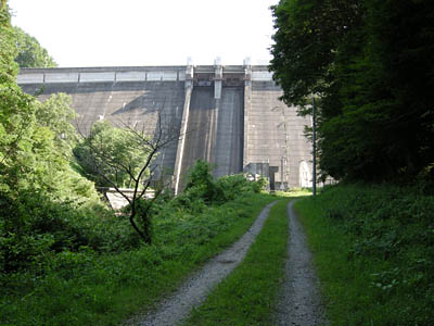 黒田ダム周辺 三河の植物観察